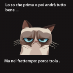 Avatar di filippo.momba